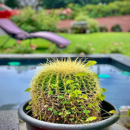 Casa Do Açor - Villaverde Azores *