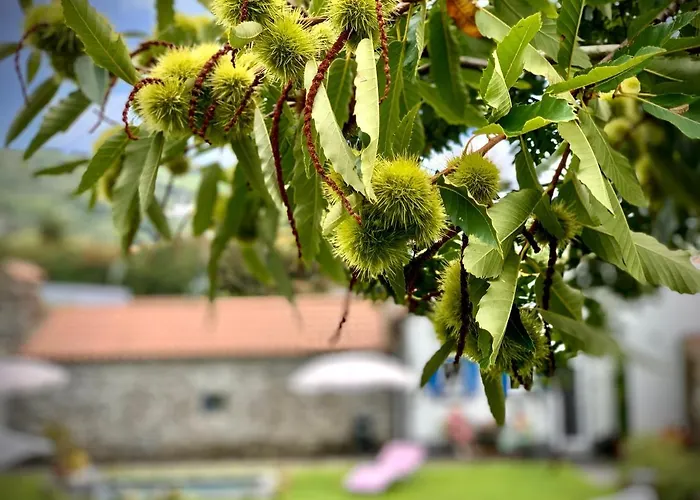 Casa Do Acor - Villaverde Azores Дом отдыха Feteiras