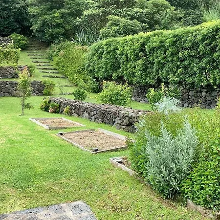 Hébergement de vacances Casa Do Açor - Villaverde Azores *