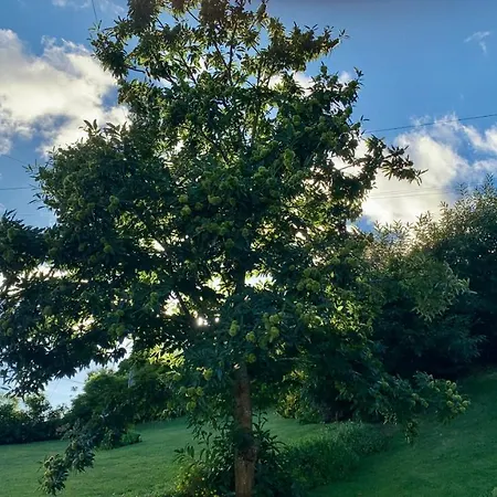 Casa Do Acor - Villaverde Azores