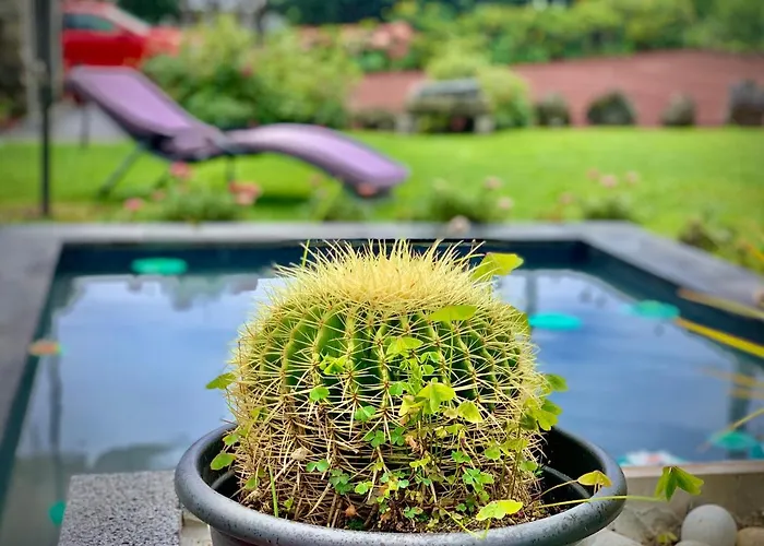 Casa Do Acor - Villaverde Azores *