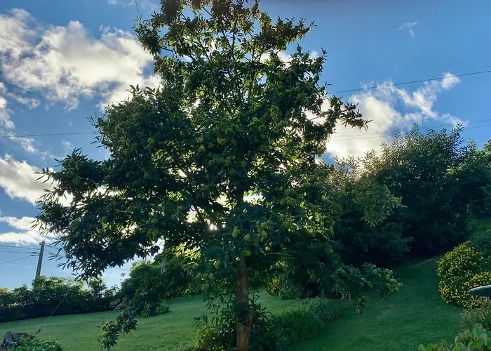 Casa Do Acor - Villaverde Azores